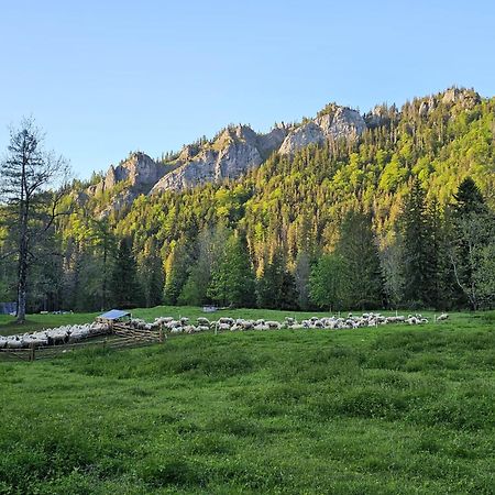 Gosciniec Kuznice Zakopane Luaran gambar