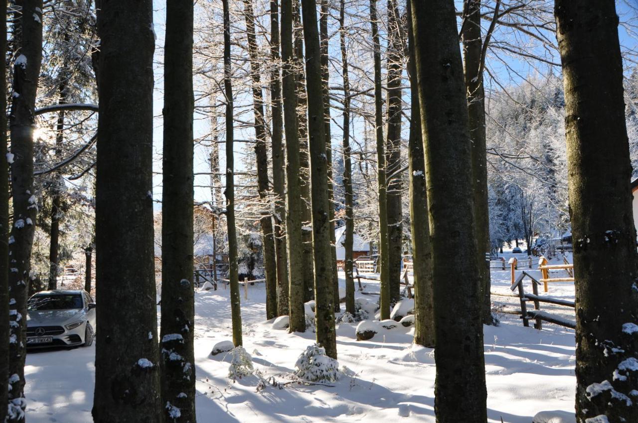 Gosciniec Kuznice Zakopane Luaran gambar